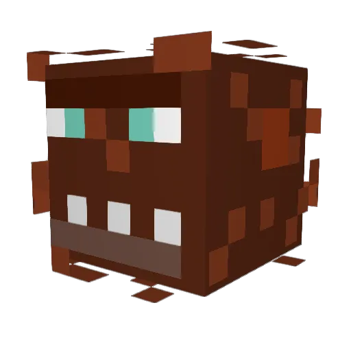 Black_Meteor Minecraft avatar head, 3D render