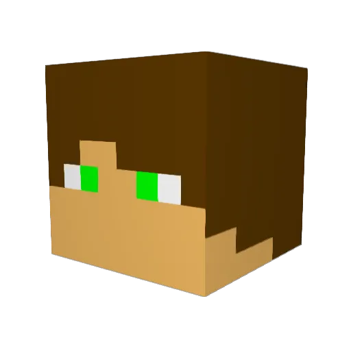 Black_Ninja45 Minecraft avatar head, 3D render