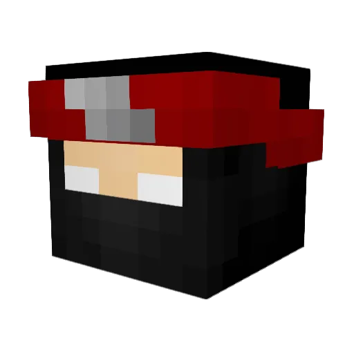 Black_Panda59 Minecraft avatar head, 3D render