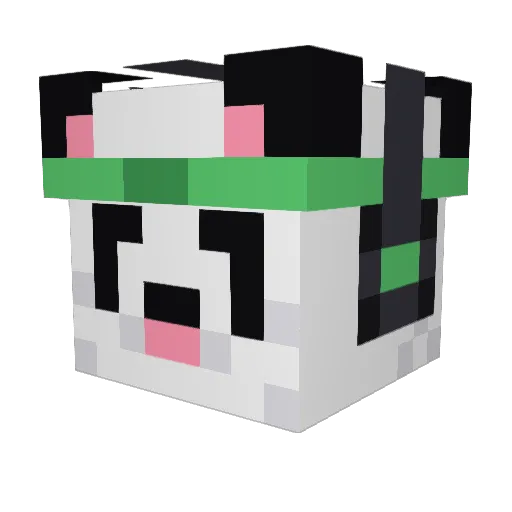 Black_Phoenix_26 Minecraft avatar head, 3D render