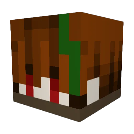 Black_Shadow20 Minecraft avatar head, 3D render