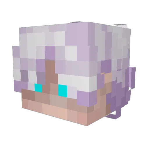 Black_Shadow9 Minecraft avatar head, 3D render