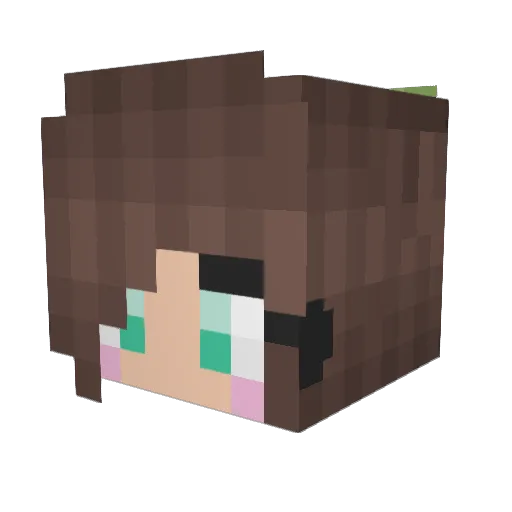 Black_Ship Minecraft avatar head, 3D render