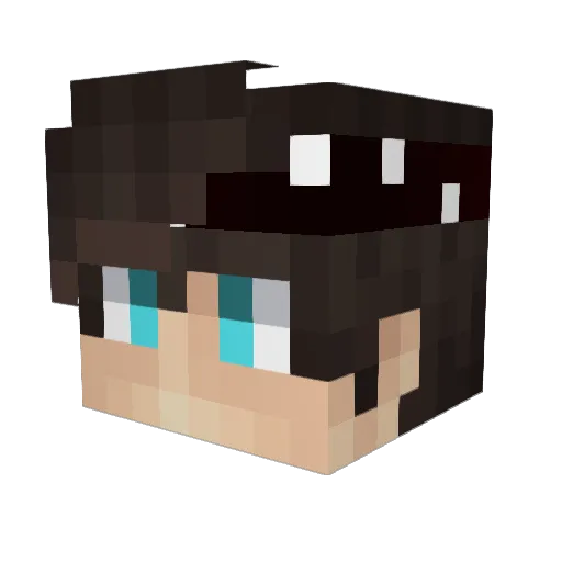 Black_Sky_One Minecraft avatar head, 3D render