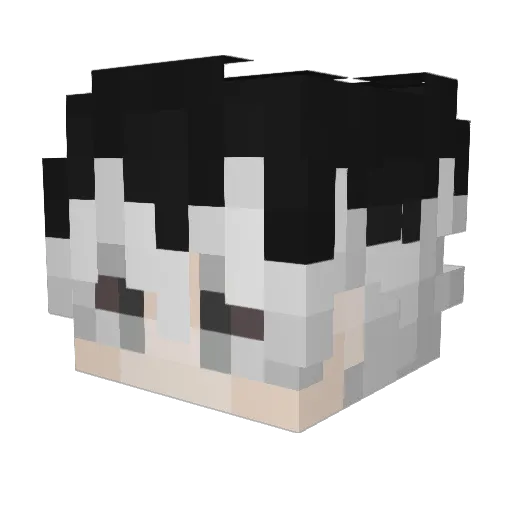Black_White_Boy Minecraft avatar head, 3D render