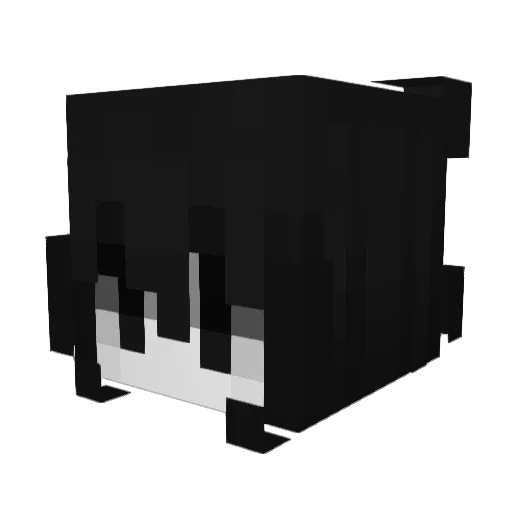 Black__DJ Minecraft avatar head, 3D render