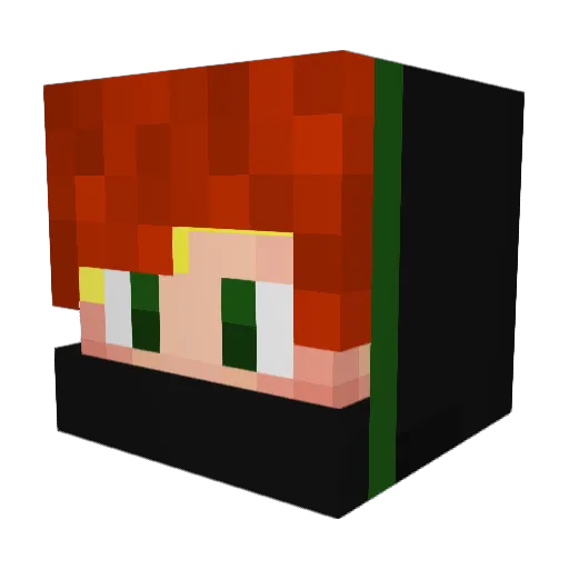 Black____Hawk Minecraft avatar head, 3D render