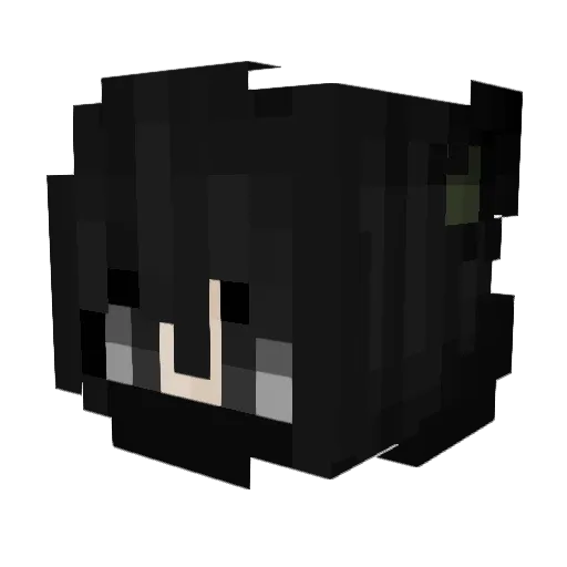 Black_birch Minecraft avatar head, 3D render