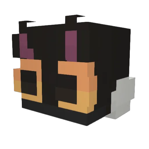 Black_cat83 Minecraft avatar head, 3D render
