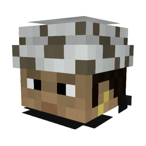 Blackashii Minecraft avatar head, 3D render
