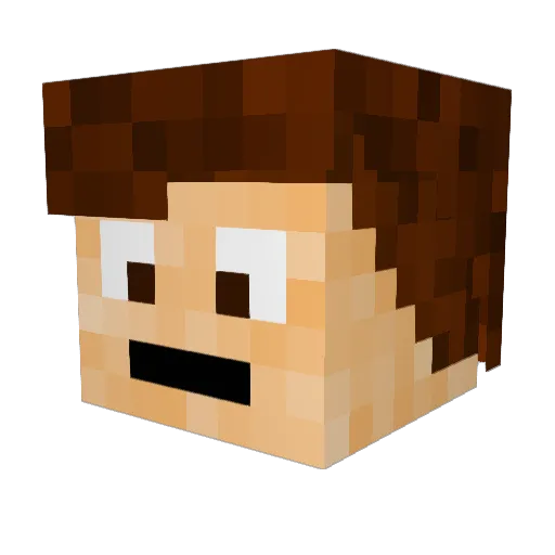 Blackbears1 Minecraft avatar head, 3D render