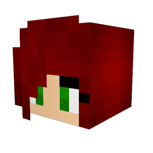 Blackbearz Minecraft avatar head, 3D render