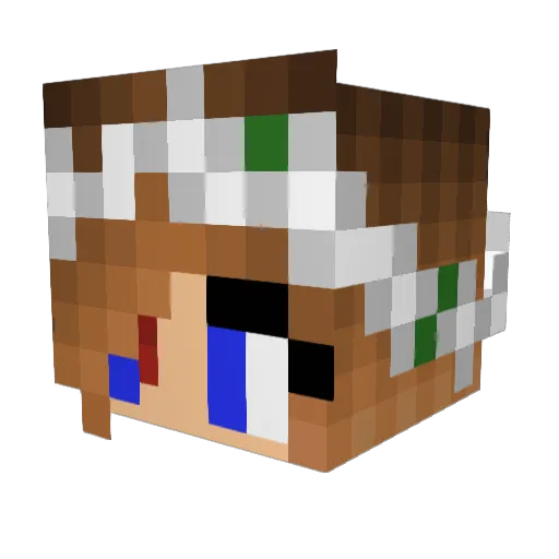 Blackburn8998 Minecraft avatar head, 3D render