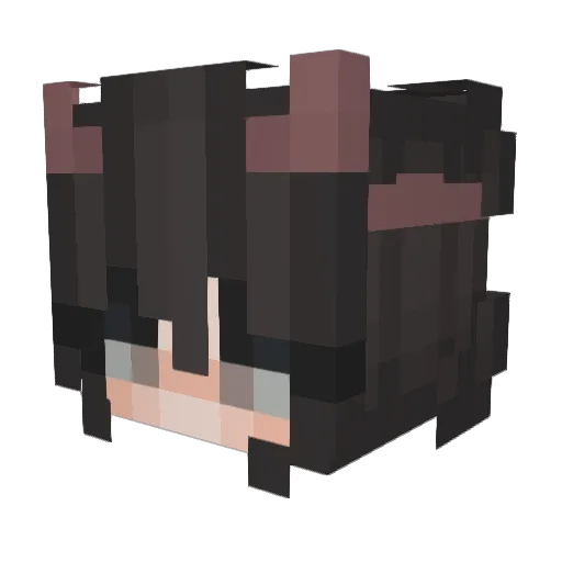 Blackcat391 Minecraft avatar head, 3D render