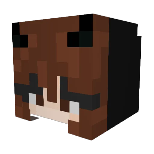 Blackcat_0159 Minecraft avatar head, 3D render