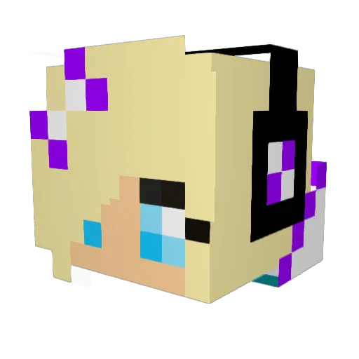 Blackcrafter99 Minecraft avatar head, 3D render