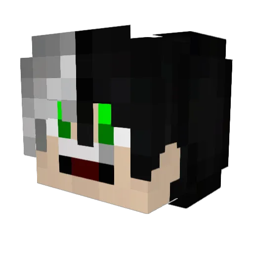 Blackcrow070908 Minecraft avatar head, 3D render