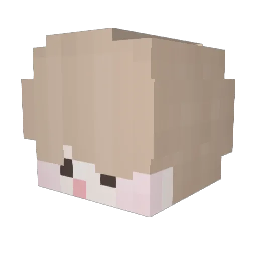 Blackcsolar Minecraft avatar head, 3D render
