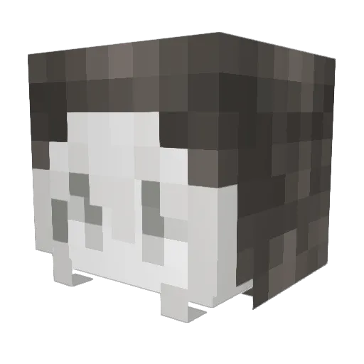 Blackdilgerasss Minecraft avatar head, 3D render