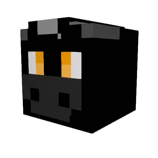 Blackdragon1082 Minecraft avatar head, 3D render