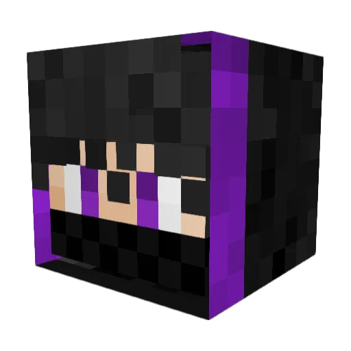 BlackenderjayYT Minecraft avatar head, 3D render
