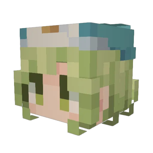 Blackfoot48 Minecraft avatar head, 3D render
