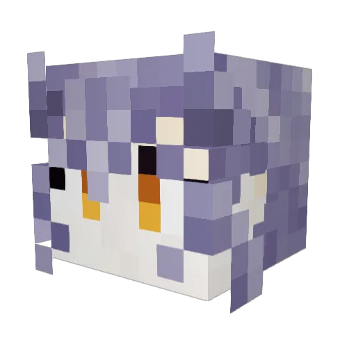 Blackguard57 Minecraft avatar head, 3D render