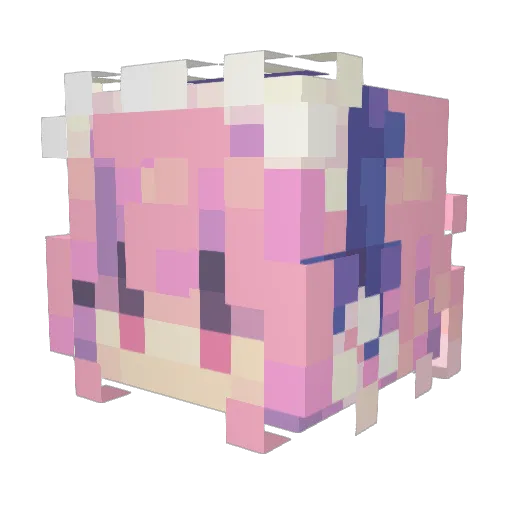 Blackgun2000 Minecraft avatar head, 3D render