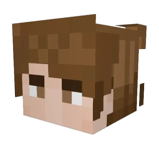 Blackhawk_0007 Minecraft avatar head, 3D render