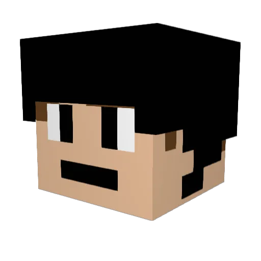 BlackhawksWinner Minecraft avatar head, 3D render