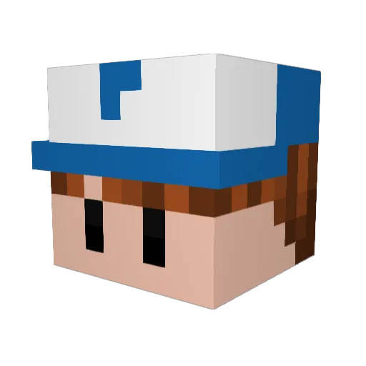 Blackholetige Minecraft avatar head, 3D render