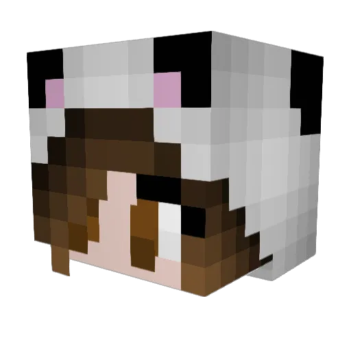Blackifan Minecraft avatar head, 3D render