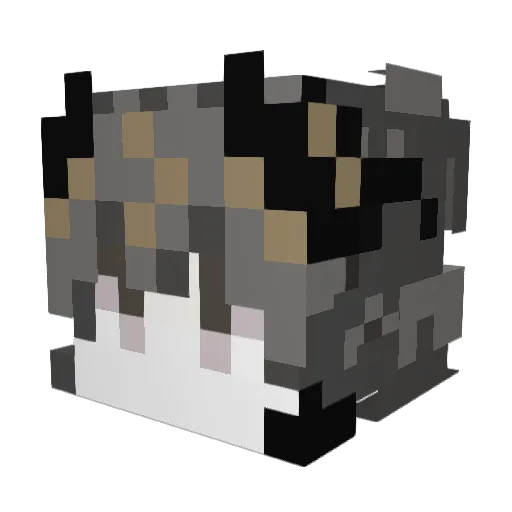 Blackkey0013 Minecraft avatar head, 3D render
