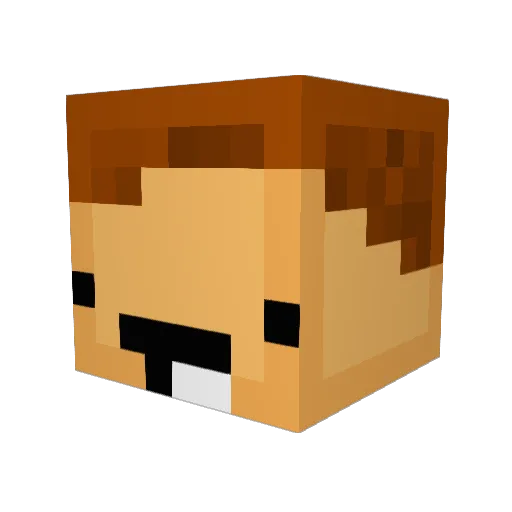 BlacklayerCz Minecraft avatar head, 3D render