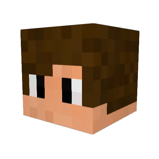 Blackledd Minecraft avatar head, 3D render