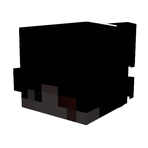Blacklight791 Minecraft avatar head, 3D render