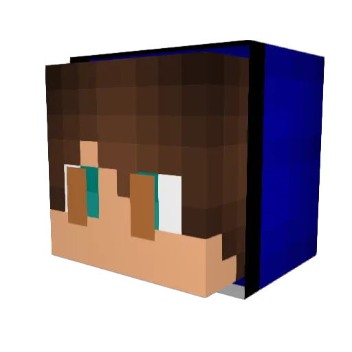 Blacklightghost Minecraft avatar head, 3D render