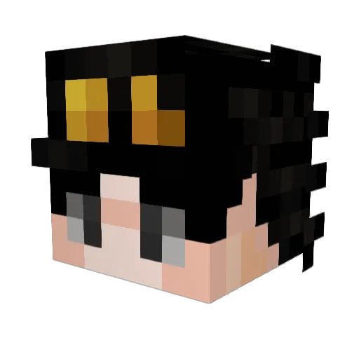 Blackout173 Minecraft avatar head, 3D render