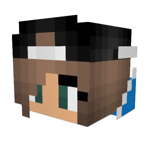 Blackout387 Minecraft avatar head, 3D render