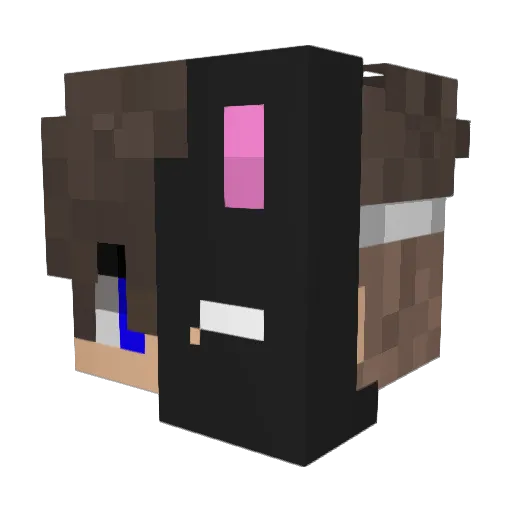 Blackpit1988 Minecraft avatar head, 3D render