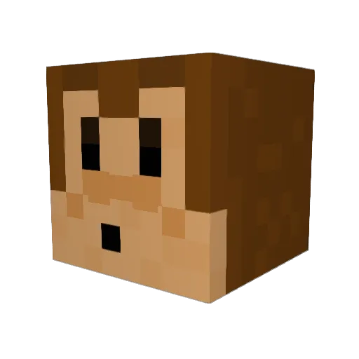 Blackplanet026 Minecraft avatar head, 3D render