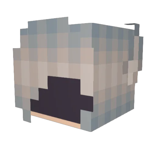 Blackraven02 Minecraft avatar head, 3D render