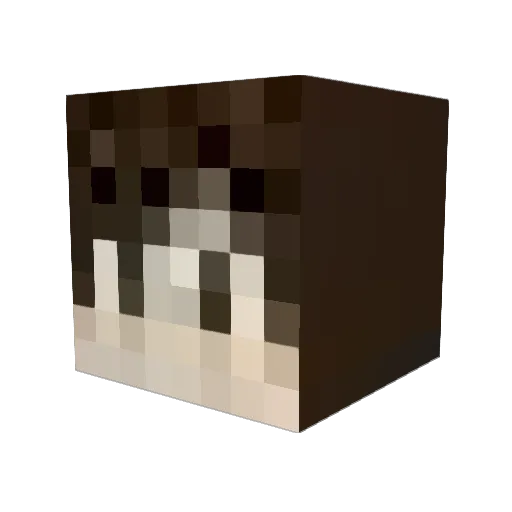 Blackreader Minecraft avatar head, 3D render