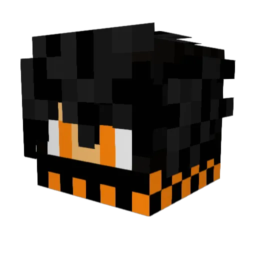 BlacksTiger73 Minecraft avatar head, 3D render