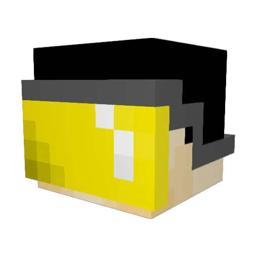 Blackster_123 Minecraft avatar head, 3D render