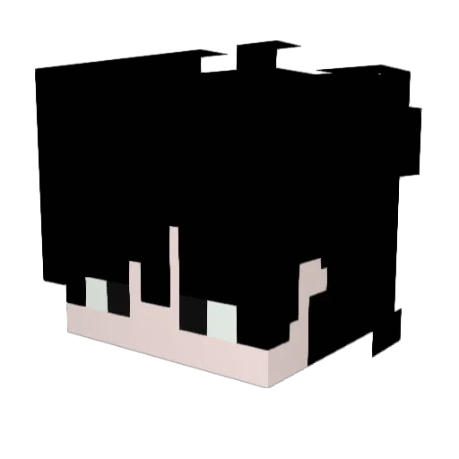 Blacksy_ Minecraft avatar head, 3D render