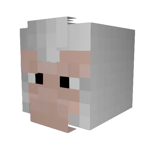 Blacktanhuskey Minecraft avatar head, 3D render