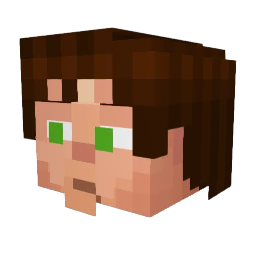 Blacktaro Minecraft avatar head, 3D render