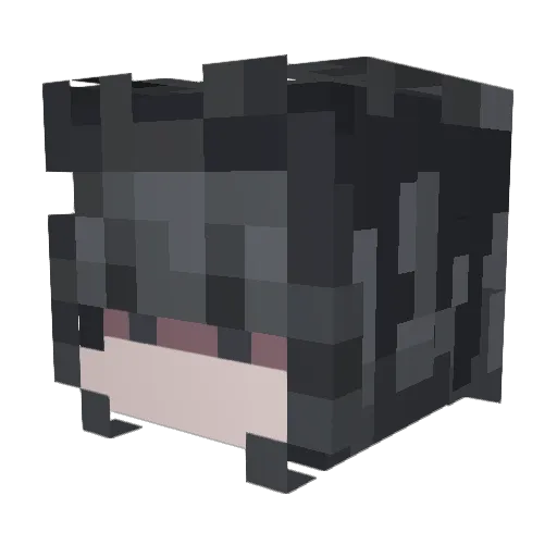 Blackteajunkie Minecraft avatar head, 3D render