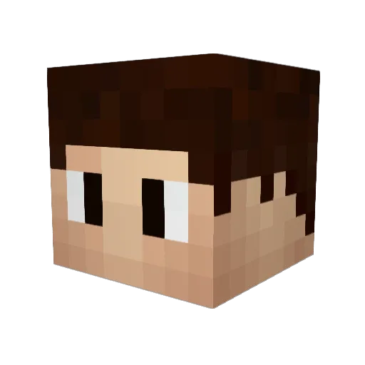 Blackwarm Minecraft avatar head, 3D render